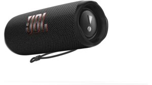 JBL Flip 6