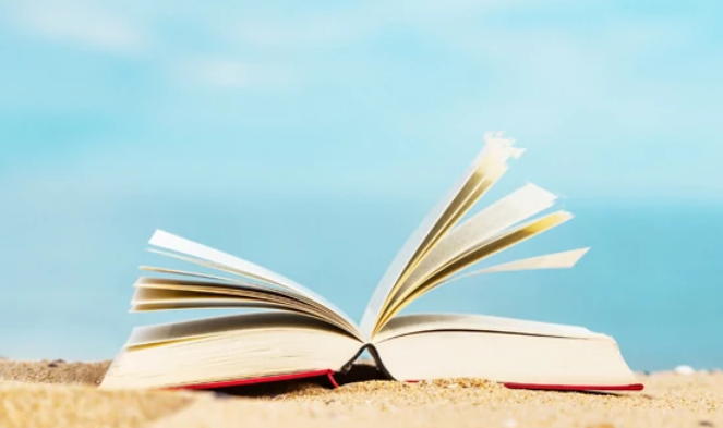 Top 10 sold Book Titles in the USA for the summer holiday