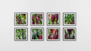 gallery wall